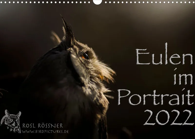 Eulen im Portrait 2022