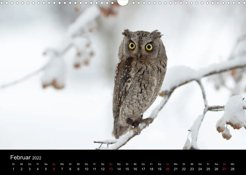 Eulenkalender 2022 Querformat