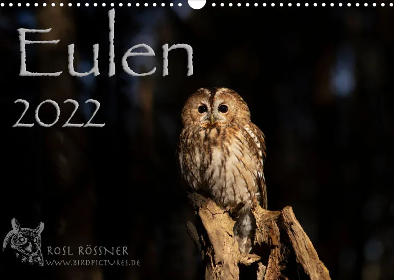 Eulenkalender 2022 Querformat