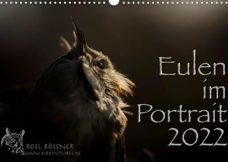 Eulen im Portrait 2022