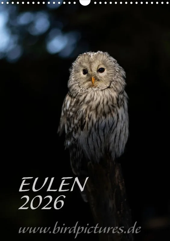 Eulenkalender 2026