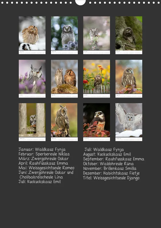 Eulenkalender hochformat 2023