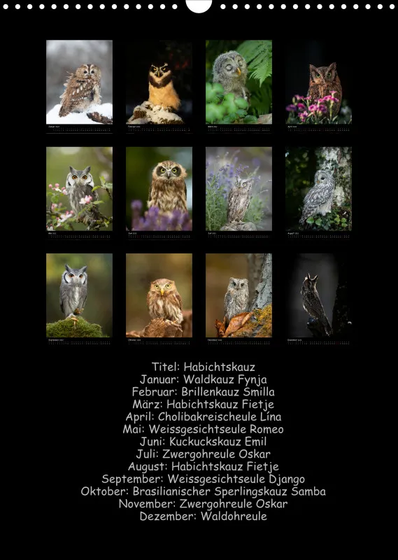 Eulenkalender 2022 Hochformat