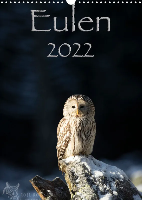 Eulenkalender 2022 Hochformat