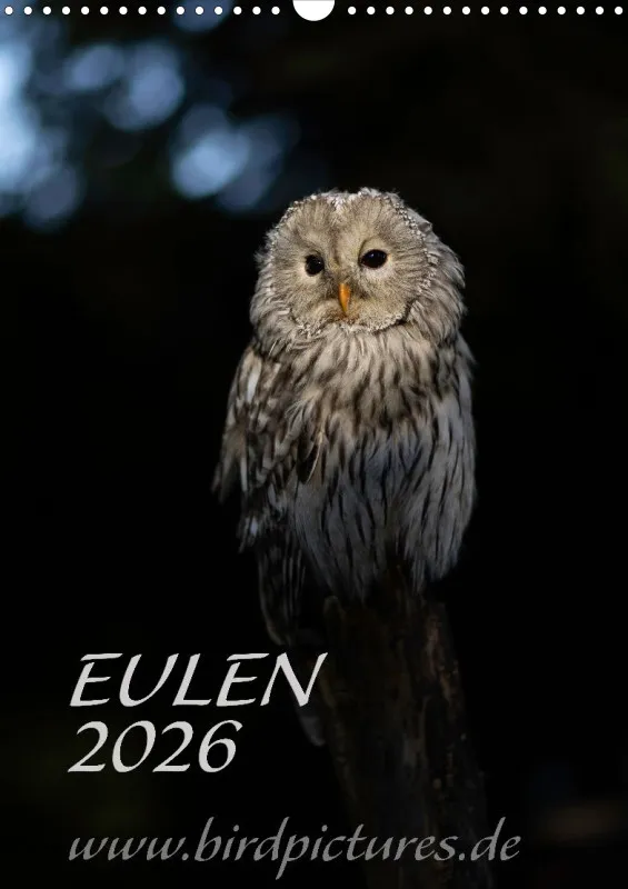Eulenkalender 2026