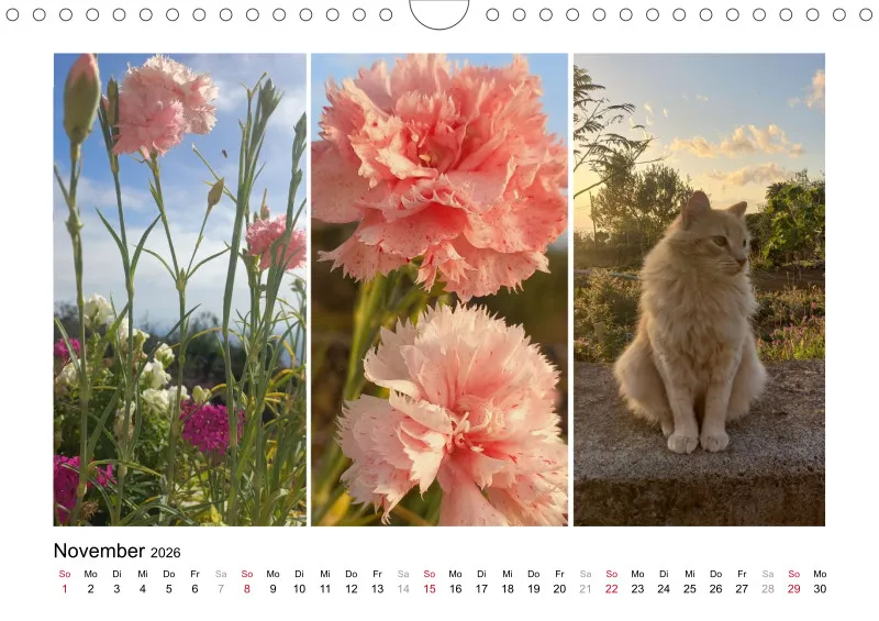 Fotokalender La Palma 2026