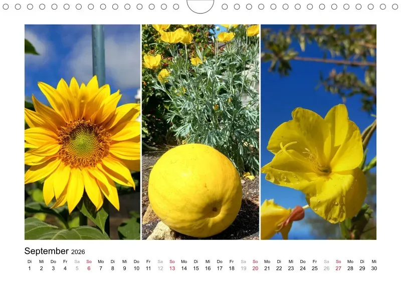 Fotokalender 2026 La Palma Birgit Knodt