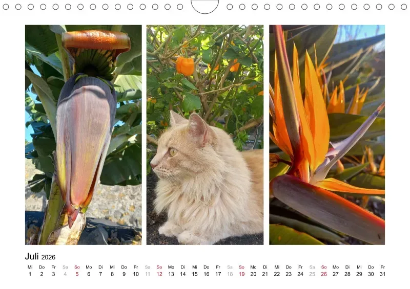 Fotokalender La Palma 2026