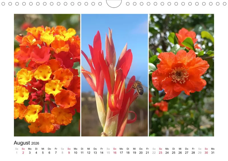 Fotokalender La Palma 2026