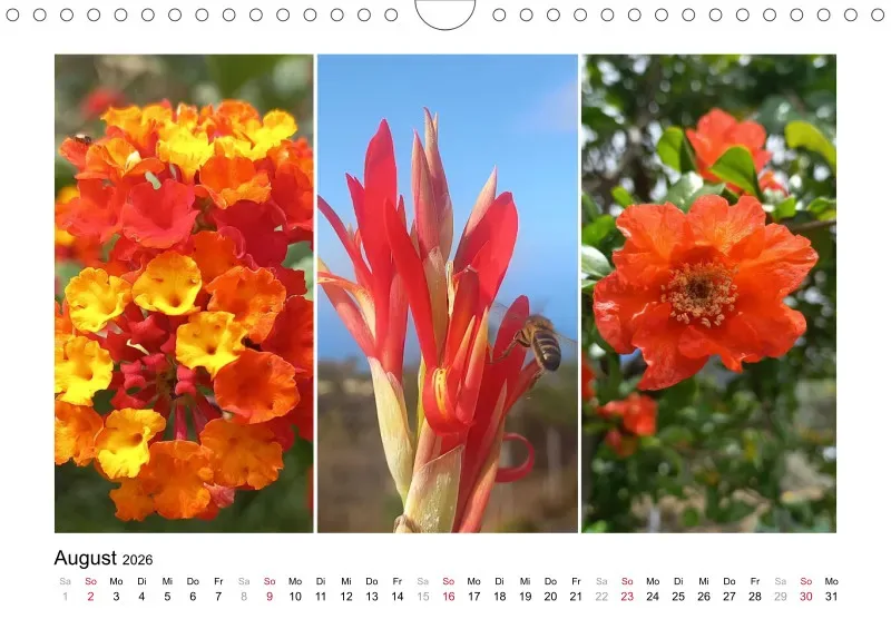 Fotokalender La Palma 2026