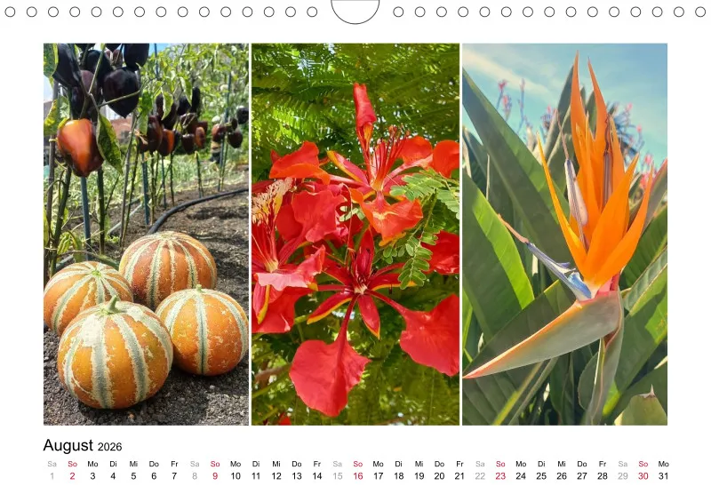 Fotokalender 2026 La Palma Birgit Knodt