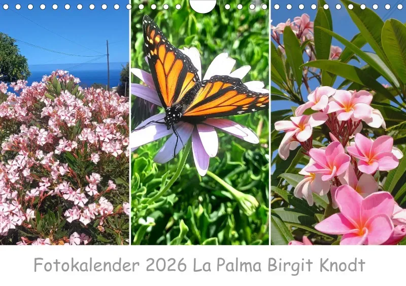 Fotokalender 2026 La Palma Birgit Knodt