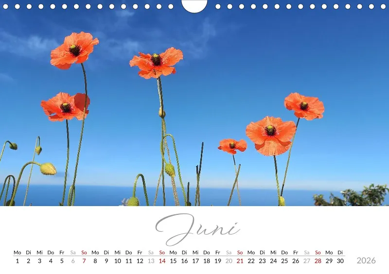 Fotokalender 2026 Vulkaninsel La Palma