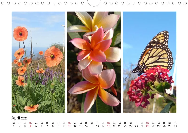 Fotokalender 2027 La Palma Birgit Knodt