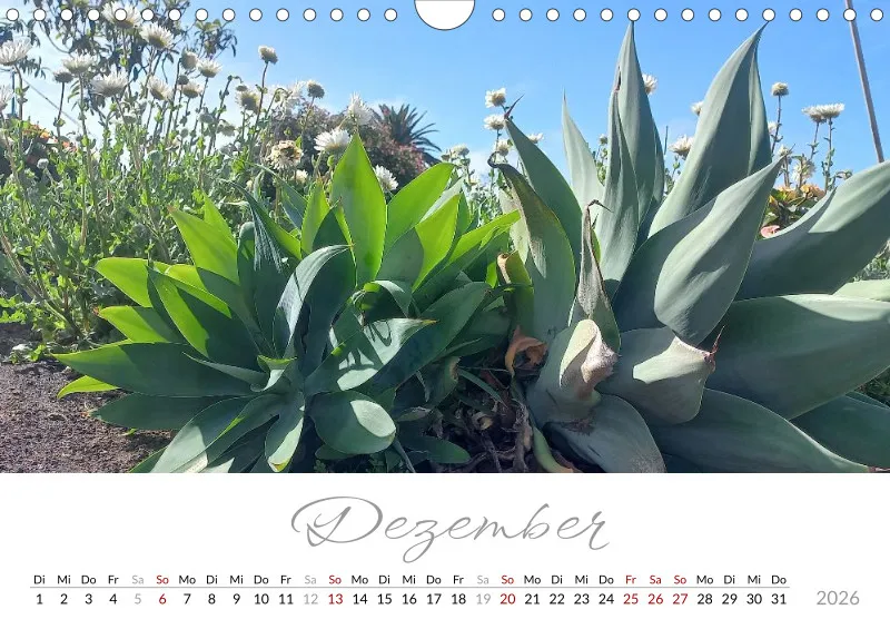 Fotokalender 2026 Vulkaninsel La Palma