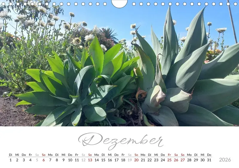 Fotokalender 2026 Vulkaninsel La Palma
