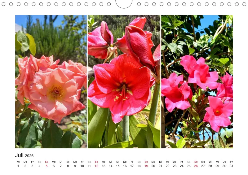 Fotokalender 2026 La Palma Birgit Knodt