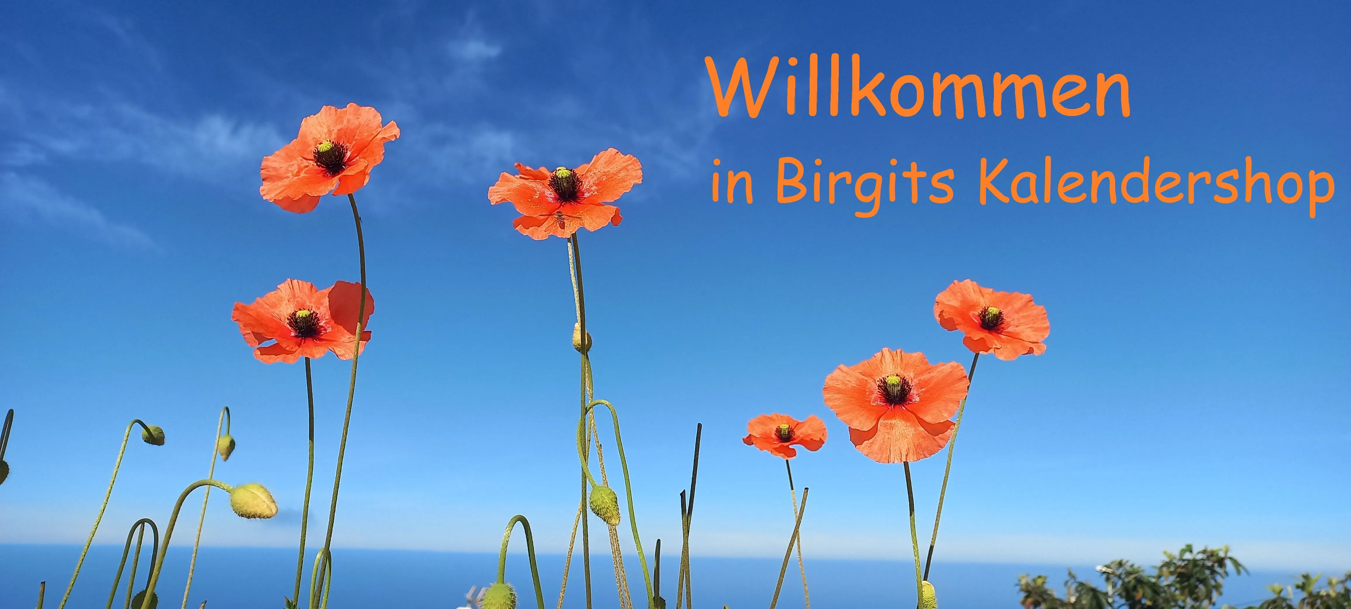 Birgits Kalendershop