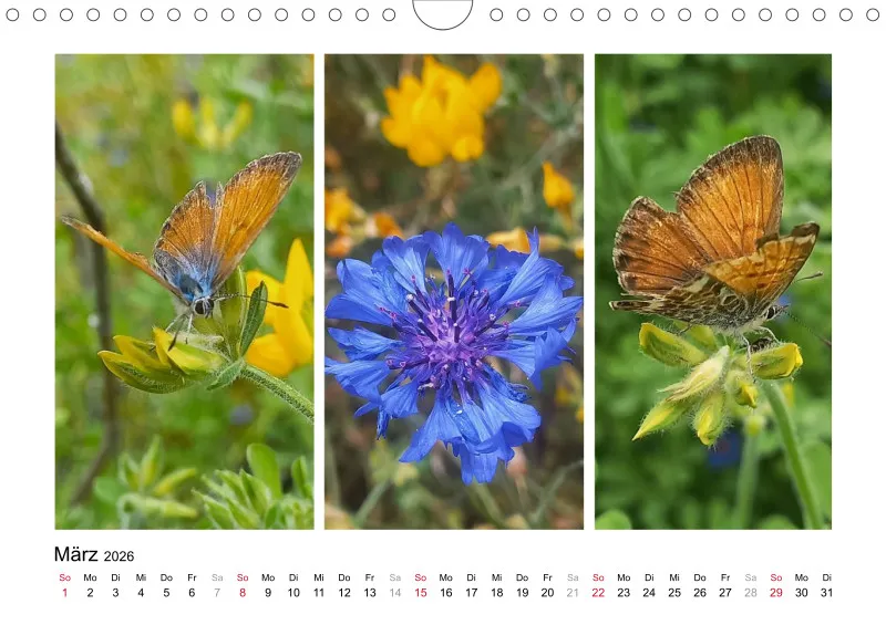 Fotokalender 2026 La Palma Birgit Knodt