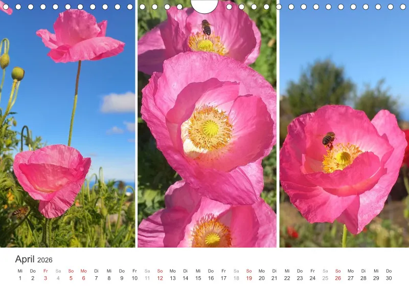 Fotokalender 2026 La Palma Birgit Knodt