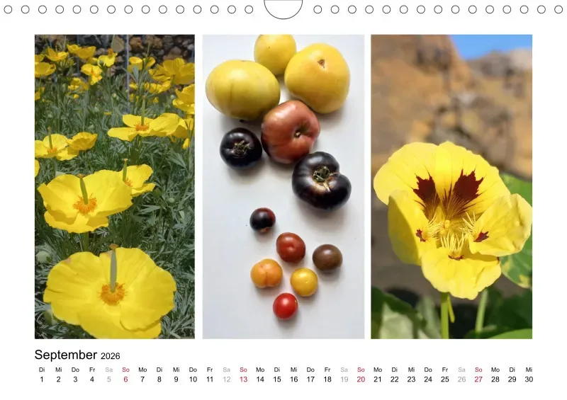 Fotokalender La Palma 2026