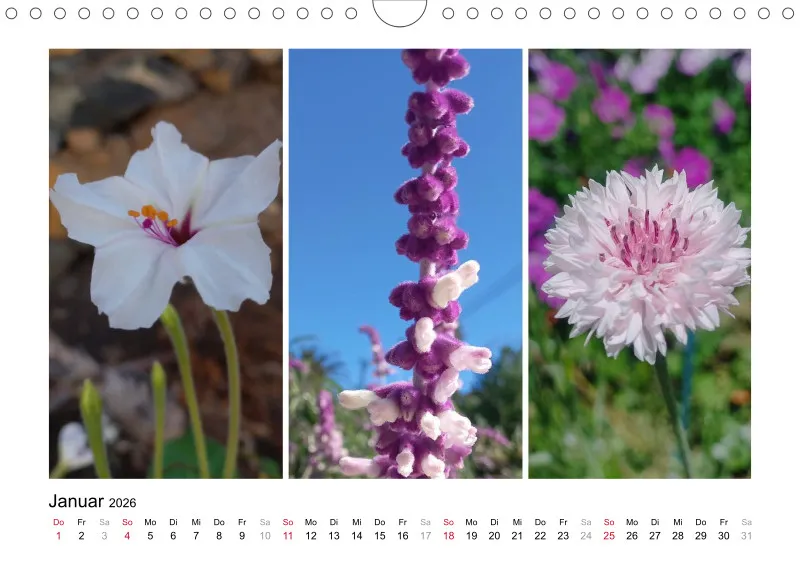 Fotokalender 2026 La Palma Birgit Knodt