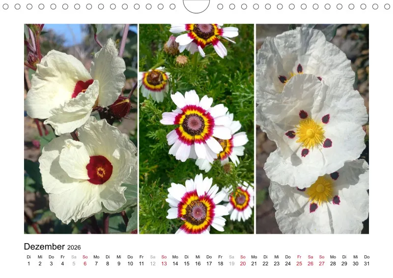 Fotokalender 2026 La Palma Birgit Knodt