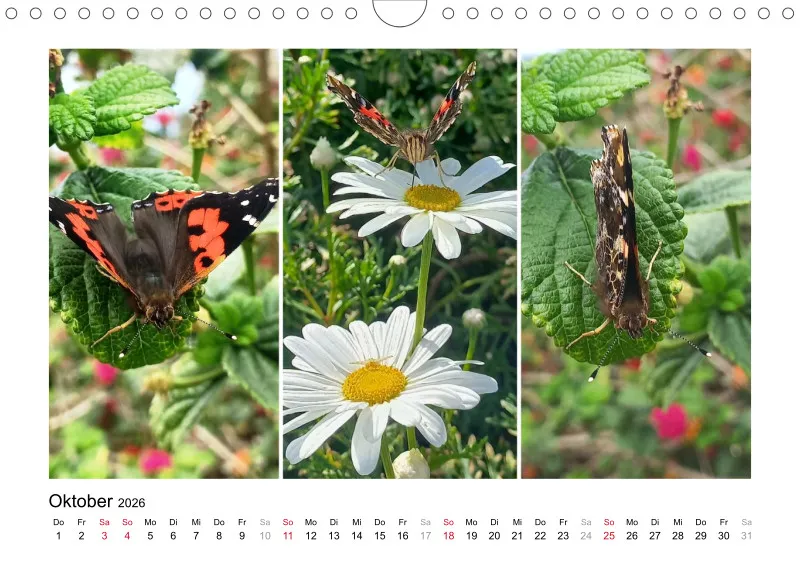 Fotokalender 2026 La Palma Birgit Knodt