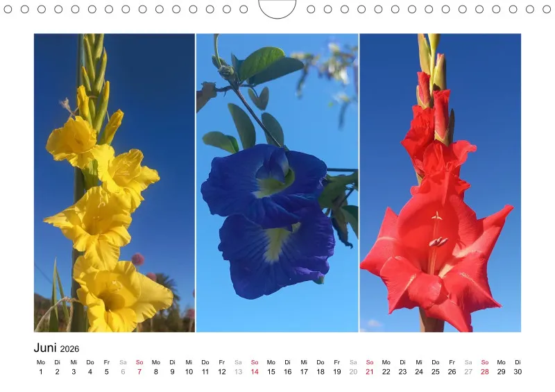 Fotokalender La Palma 2026