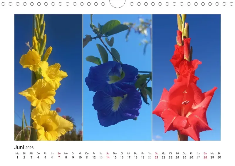 Fotokalender La Palma 2026