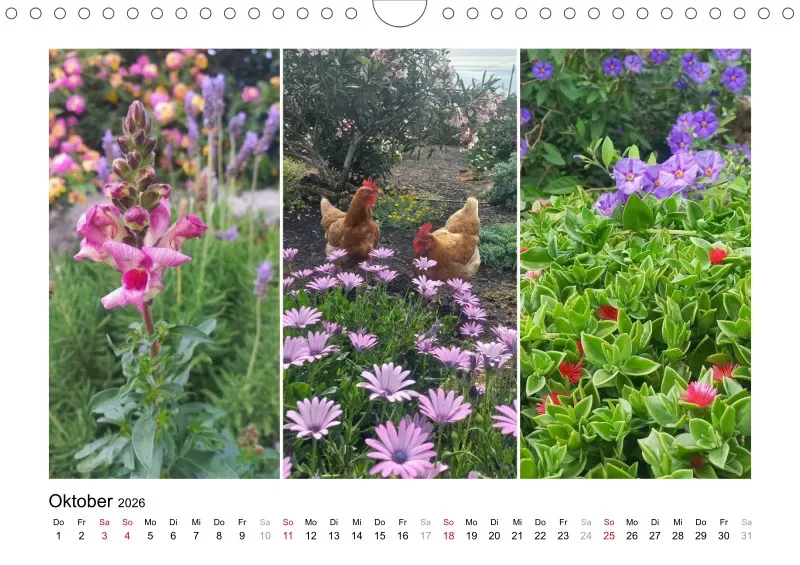 Fotokalender La Palma 2026