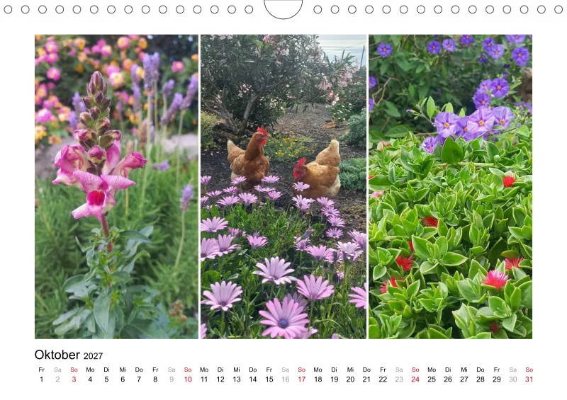 Fotokalender 2027 La Palma Birgit Knodt