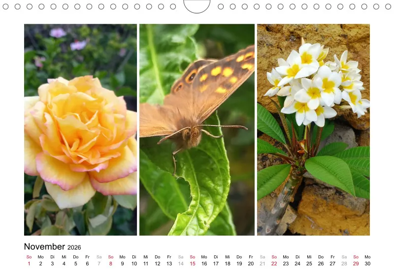 Fotokalender 2026 La Palma Birgit Knodt