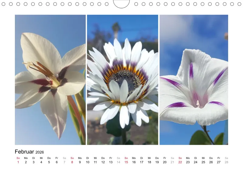 Fotokalender La Palma 2026