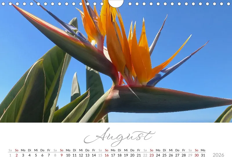 Fotokalender 2026 Vulkaninsel La Palma