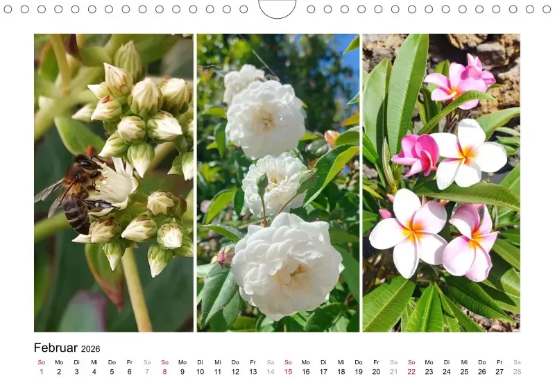 Fotokalender 2026 La Palma Birgit Knodt
