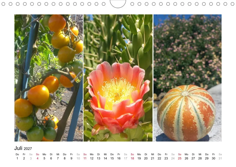Fotokalender 2027 La Palma Birgit Knodt