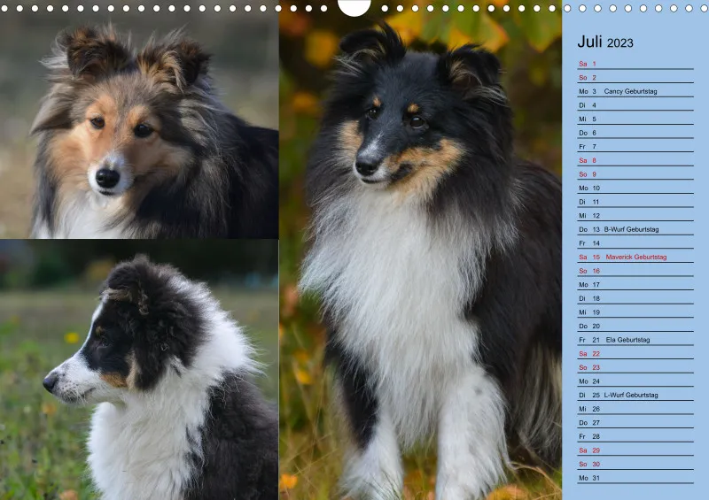 Birkenshelties Kalender 2023