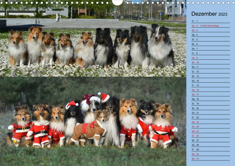 Birkenshelties Kalender 2023
