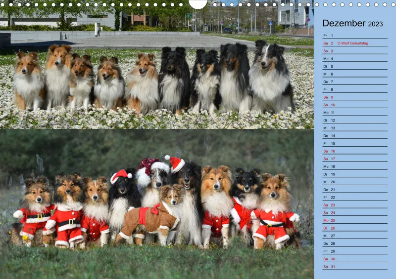 Birkenshelties Kalender 2023