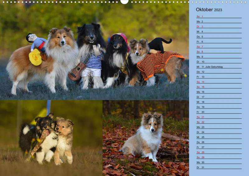Birkenshelties Kalender 2023