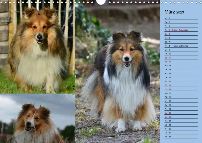 Birkenshelties Kalender 2023