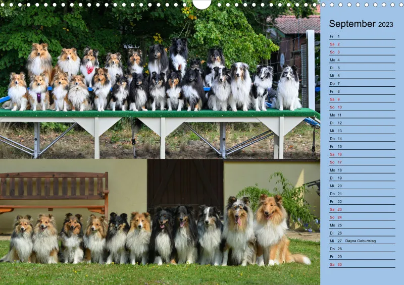 Birkenshelties Kalender 2023
