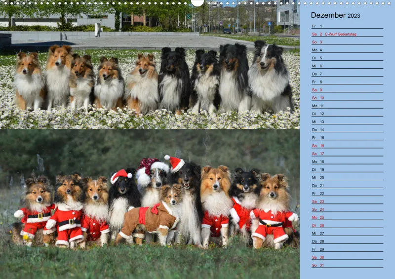 Birkenshelties Kalender 2023