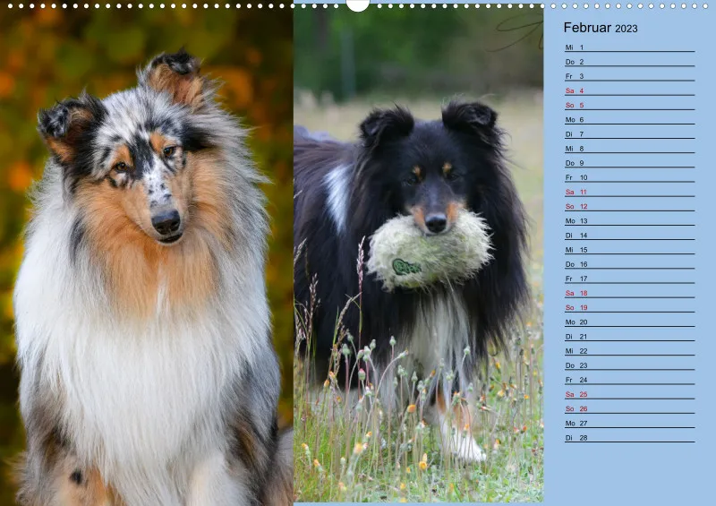 Birkenshelties Kalender 2023