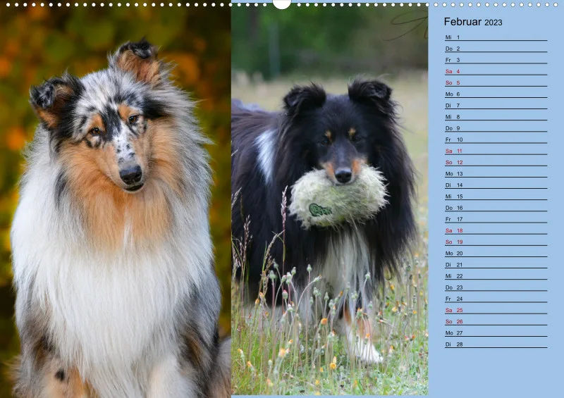 Birkenshelties Kalender 2023