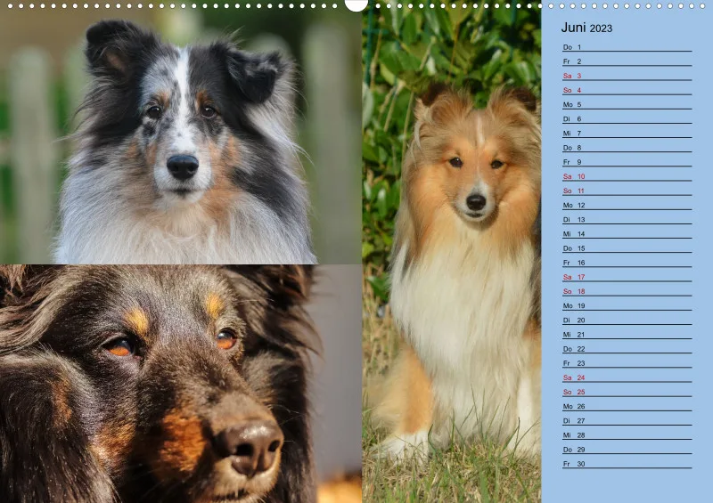 Birkenshelties Kalender 2023