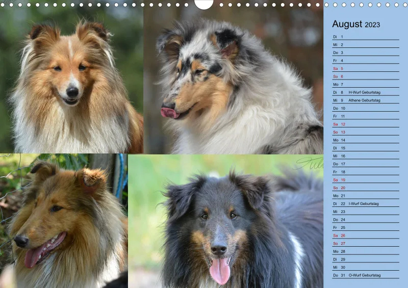 Birkenshelties Kalender 2023