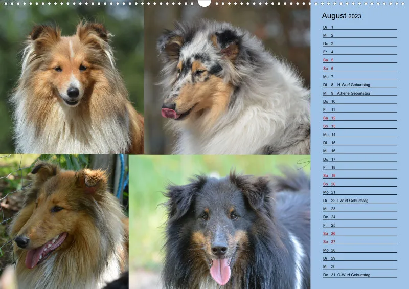 Birkenshelties Kalender 2023