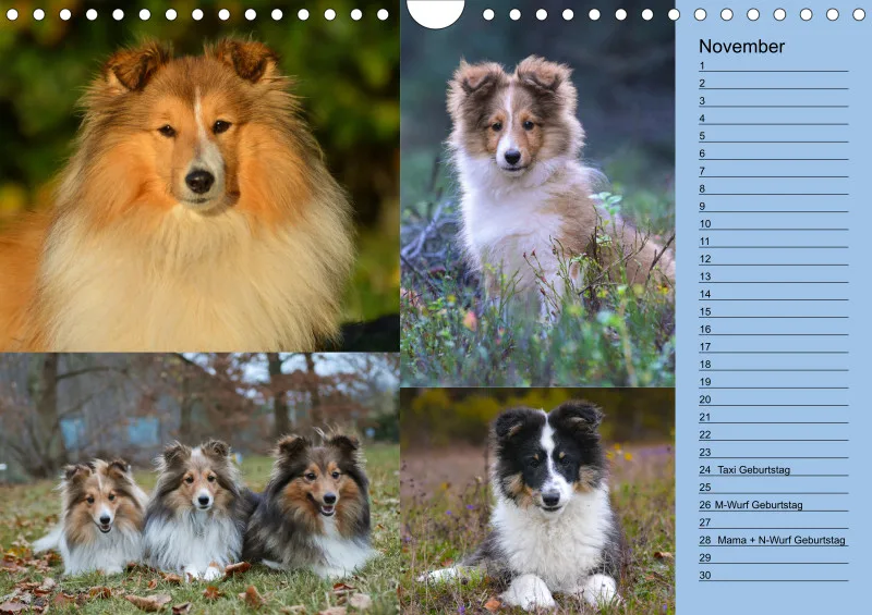 Birkenshelties Kalender 2023 in A4